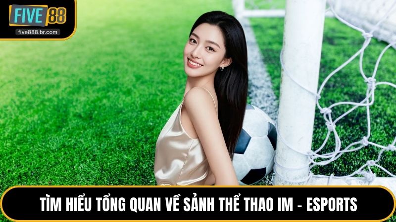 Tìm hiểu tổng quan về sảnh thể thao IM - eSports